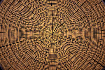 Naklejka premium Abstract radial wood grain pattern with concentric circular lines and cracks, symbolizing natural growth and organic design concept on wooden texture background. Ai generative