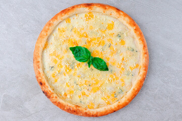 Four Cheese Pizza with Mozzarella, Parmesan, Blue Cheese, and Basil on Golden Crust over Gray Stone Background
