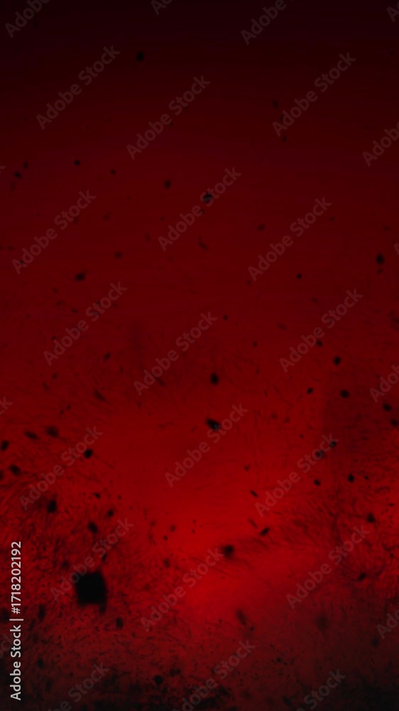 Wall mural vertical flying debris from hell 4k loop features a fiery red atmosphere with black particles and de