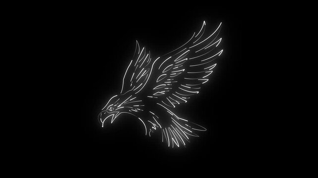 Neon bird icon animation. flying bird concept on black background. 4k video animation Eagle animal icon .