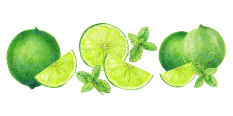 Watercolor illustration of fresh green limes, lime slices, mint leaves, and blossom on a whit background. Citrus fruit and herbal elements perfect for summer, drinks, and botanical design