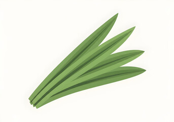 Obraz premium A bundle of three long, green, sword-shaped leaves, fanned out against a white background.