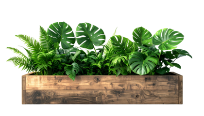Lush green plants in a rustic wooden planter box