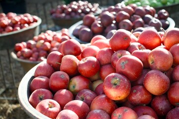 Close-up of ripe red apples in baskets at outdoor market, symbol of healthy eating and organic harvest.