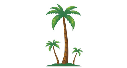 palm tree on white background
