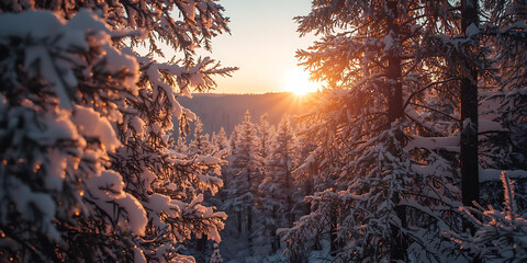 Serene Winter Forest at Sunset