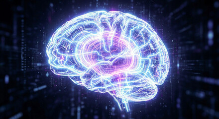 human brain in the dark