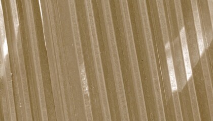 Beige Sheer Curtains in Sunlight.