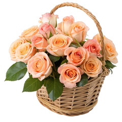 Watercolor peach roses in wicker basket bouquet delicate beauty isolated on a transparent background