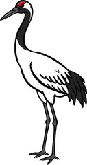 Fototapeta premium crane, Represent longevity and happiness, vector, transparent background