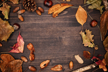 Autumn season background, top view of dry autumnal leaves in variegated colors with chestnuts and nuts, flat lay arrangement
