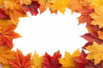 autumn leaves border