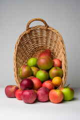 Basket of Apples - Rustic Still Life
