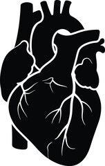 A simple black silhouette of a human heart on a white background