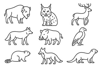 Native Wildlife Icons. Line style icons of native wildlife species: wild bison, lynx, red deer, grey wolf, wild boar, golden eagle