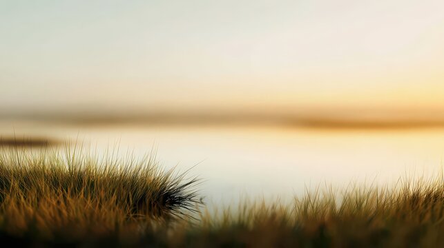 Tranquil sunrise over a misty lake with soft focus marsh grass in the foreground.