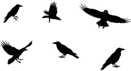 Obraz premium Collection of silhouetted birds in flight and perched offering versatile graphic elements
