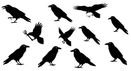 Collection of silhouetted crows in various poses including flying perching and standing iconic avian imagery