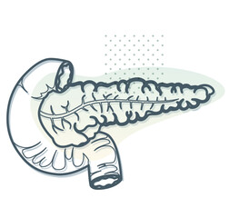 Pancreas Icon stock illustration