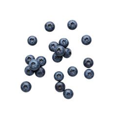 Blueberries scattered on a white background representing transparent background  