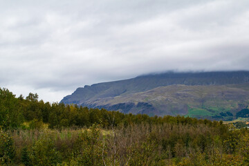 Mountain landscape with forest and cloudy sky