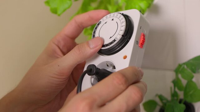 Close-up hands of unrecognizable man adjusting settings on electrical timer switch, automating growing process for green plants in hydroponics system, promoting efficient indoor gardening.