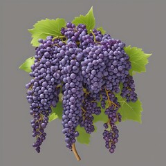 A luscious bunch of ripe purple grapes hanging with green leaves, showcasing the bounty of natures harvest