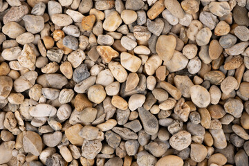 Natural river stones in various shapes and colors
