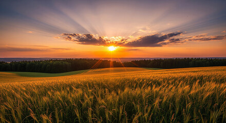 Golden Sunset Over Rolling Hills: Serene Rural Landscape in 16: