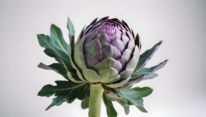 Obraz premium Close-up of a vibrant artichoke flower with green leaves against a soft background.