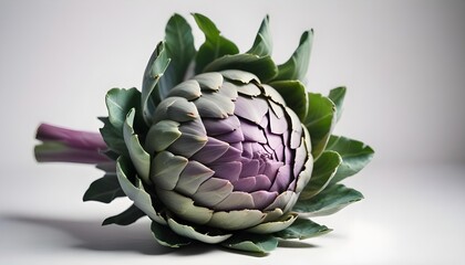 Fototapeta premium Close-up of a vibrant artichoke on a white surface.