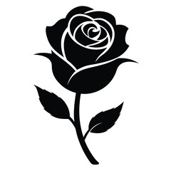 Silhouette of a Rose on White Background