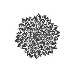 abstract decoration of blue blooming flower pattern without background