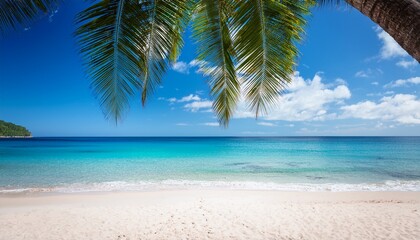 Fototapeta premium Tropical Beach With Coconut Palm Tree