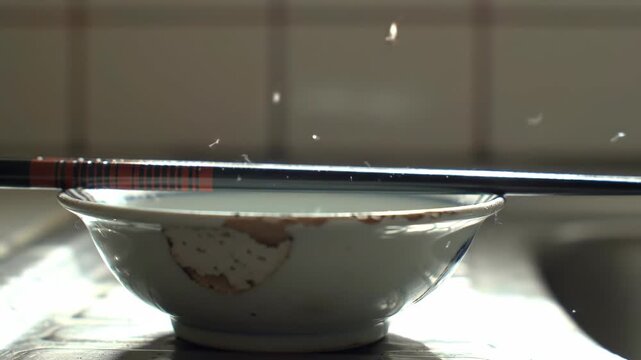 Close-up of chopsticks resting on a bowl with water and tiny insects flying over, kitchen environment.