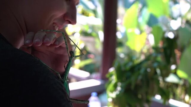 A close-up view of a stick insect resting on the back of a person&rsquo;s neck in a natural outdoor environment.