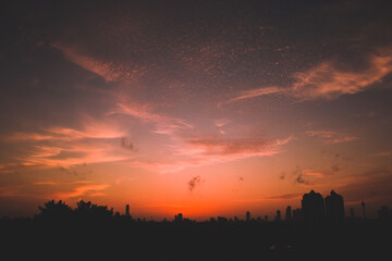 Wallpapers made to inspire your day.