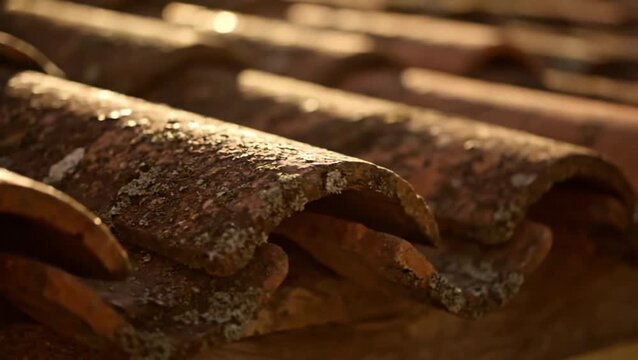 Rustic Terracotta Tiles A Textural Close-Up of Aged Roofing Detail