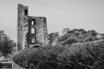 A castle with a large tower and a wall of bushes