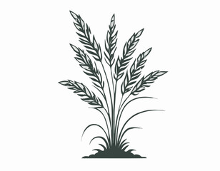 Silhouette Rice Plant image vector and Vector Art  isolated on white background.