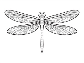 Symmetrical Dragonfly Design in Line Art Style