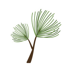 Pine tree branches with green needles and cones illustration