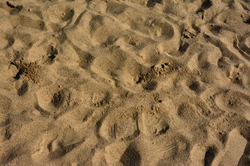 Sandy surface with footprints, natural textured background for outdoor design, summer