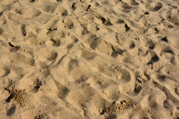 Sandy surface with footprints, natural textured background for outdoor design, summer