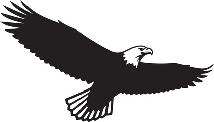 Obraz premium Silhouette of an Eagle in Flight with Wings Spread Wide bird flying