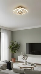 Serene and Minimalist Living Room Interior
