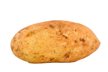Fresh Cyprus Potato on White Background