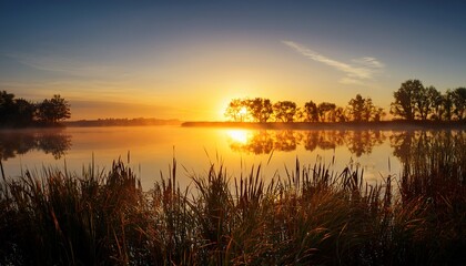 Golden Sunrise Over Serene Water With Silhouetted Trees And Reeds Reflecting In The Calm Lake