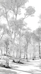 A serene winter forest, with tall birch trees, showcasing intricate textures and soft shadows on the snow-covered ground, creating a tranquil and peaceful atmosphere.