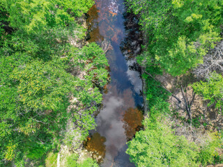 Swimming in the Withlaccoochee River